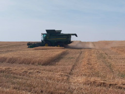 Bruselas deroga un año las normas de la PAC sobre barbecho