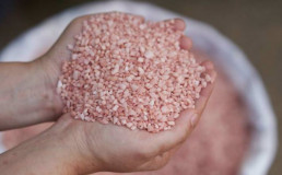 El déficit de potasio en suelos agrícolas amenaza los cultivos