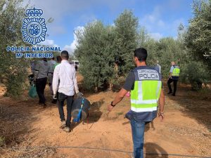 Quince detenidos en Sevilla por explotar en el campo "hasta la extenuación" a extranjeros sin dejarles ni beber