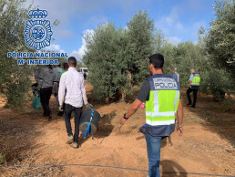 Quince detenidos en Sevilla por explotar en el campo 