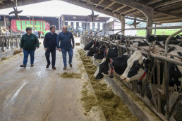 Cantabria creará un grupo de trabajo para dinamizar el sector lácteo