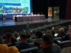 Más de 400 profesionales asisten a una jornada sobre avances en la lucha contra insectos Thrips que afectan a cítricos