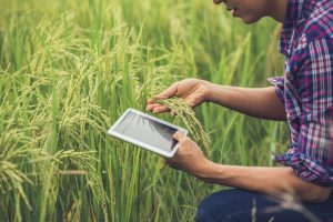 Una cátedra de la Universidad de Oviedo estudiará la aplicación de la AI en la agricultura y la pesca