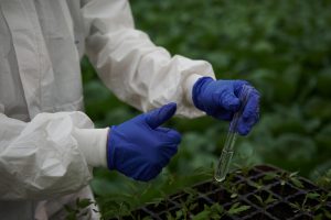 AVA-Asaja valora la retirada del reglamento de pesticidas: "Era una barbaridad ideológica sin base científica"