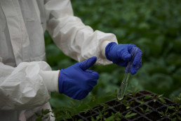 AVA-Asaja valora la retirada del reglamento de pesticidas: 
