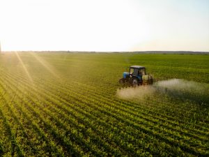 La Junta convoca nuevas ayudas para la industria agroalimentaria con una dotación de 70 millones de euro