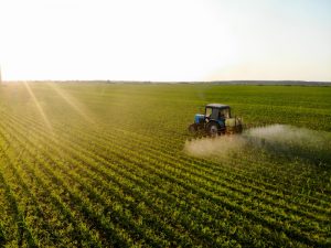 La Junta resuelve la firma de contratos de ayudas agroambientales de la PAC por valor de 37 millones al año