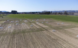 La capital acoge la II asamblea general de Leguminose, proyecto europeo sobre el intercultivo de leguminosas y cereales
