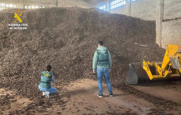  Detenidas cuatro personas en Vinaròs por el hurto y receptación más de 37 toneladas de olivas y algarrobas