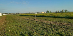 La agricultura de precisión y las mallas anticonejos, novedades en la convocatoria de ayudas a jóvenes del sector