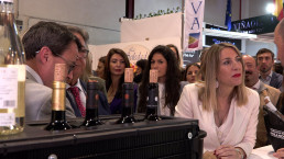 Los agricultores extremeños contarán con préstamos bonificados para el olivar y viñedo y con ayudas directas para la vid