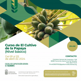 La Escuela de Capacitación Agraria de Tacoronte (Tenerife) ofrecerá en abril un curso sobre el cultivo de papaya
