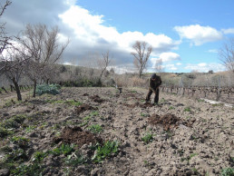  Agricultura asigna nuevos derechos de ayuda básica a la renta de agricultores por valor de 11,95 millones