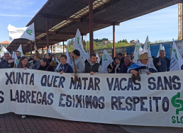 Propietarios de la granja de Manzaneda protestan ante la Xunta tras sacrificar sus vacas: 
