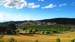 El Govern flexibiliza ayudas de la PAC en 2024 por la sequía