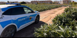 La Policía de la Generalitat controla 530.430 kilos de productos agrícolas en 200 intervenciones en el campo