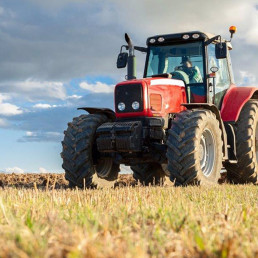 La Eurocámara apoya eximir de sanciones y controles ambientales de la PAC a pequeños agricultores
