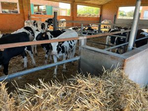 La Generalitat simplifica los planes de ahorro de agua para usos ganaderos y agrícolas