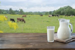 Canarias adjudica 17 millones en ayudas del Posei a productores de leche e industria láctea