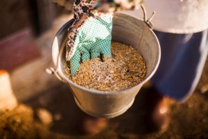 El Gobierno aprueba la aplicación en España de la normativa europea sobre alimentación de animales de granja con piensos de origen animal 