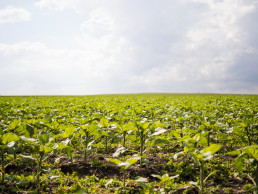ASAJA demanda la modernización de la administración periférica de Castilla y león