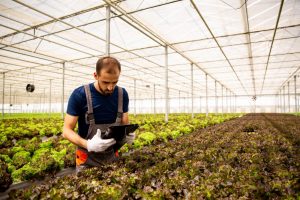 La Junta aumenta hasta los 19,8 millones el presupuesto de ayudas a la agricultura de precisión y tecnologías 4.0