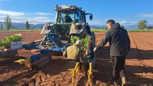 ARAG-ASAJA inicia un nuevo campo demostrativo con cultivo de avellano y almendro