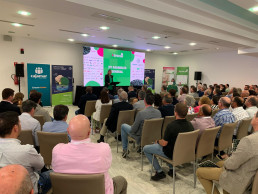 La Región se reafirma como principal productora y exportadora de brócoli de España con más de 254.000 toneladas en 2023