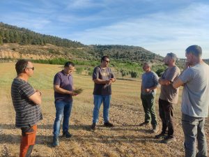 UAGA estima en 146.000 las hectáreas de cereal "arruinadas" por la sequía en Aragón