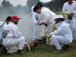 La Junta convoca más de 4,2 millones en ayudas para mejorar la producción y comercialización apícola en 2024