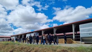 Planas destaca la labor "modélica" del sector ganadero de Ávila y ensalza la raza avileña-negra ibérica
