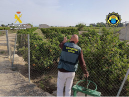 Investigan a dos personas tras ser sorprendidas cuando robaban 250 kilos de cítricos en Rojales