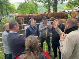 Centenares de personas asisten este sábado a la feria ganadera de Soba con motivo de la festividad de San Isidro