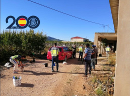  Detenido el cabecilla de una red que captaba extranjeros para trabajar en el campo suplantando identidades