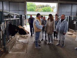 Xenética Fontao mantiene su liderazgo en la producción de semen sexado bovino con ocho toros en el top10 estatal