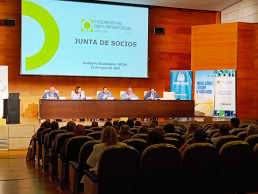 Las cooperativas agroalimentarias de Jaén facturaron 950 millones de euros en 2023, un 22% menos por la sequía
