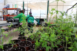  La Diputación y la UCO se unen para mejorar la competitividad del sector agrícola y ganadero