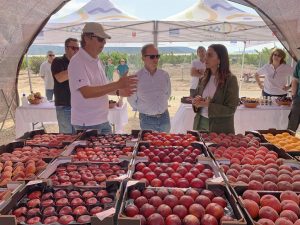 El Imida desarrolla 23 nuevas variedades de fruta de hueso como melocotón, paraguayo, nectarina o ciruela