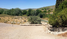 La Junta destaca el valor en la provincia de la tradición milenaria de la trashumancia