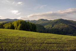 La Comunidad inicia el pago de 4,5 millones de euros a 1.237 agricultores con cultivos en zonas de montaña