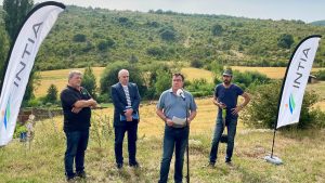 Navarra testa la tecnología del vallado virtual en ganado pirenaico para la prevención de incendios