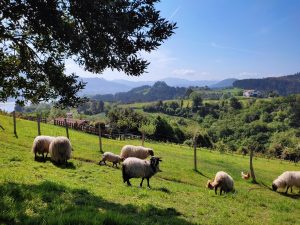 UPA reivindica la sostenibilidad de la agricultura familiar frente a modelos industriales y especulativos