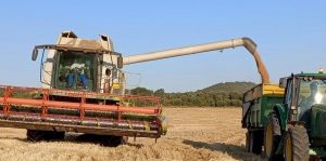 Aragón paga las ayudas a la modernización de explotaciones y a la incorporación de jóvenes agricultores