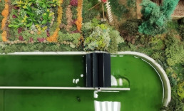 La US impulsa una tecnología que genera biofertilizantes para cultivos y soluciones a la sequía con microalgas