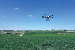  El Govern aprueba ayudas agrarias del PRTR por 23 millones