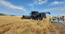  La Junta y el Ifapa impulsan en Jerez la transición digital en cultivos herbáceos extensivos