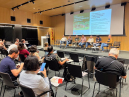 La Generalitat inicia un plan para garantizar la coexistencia del lobo con la ganadería