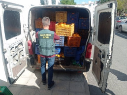 Ocho detenidos por el robo de 25.000 kilos de naranjas tras interceptar un furgón en Carmona