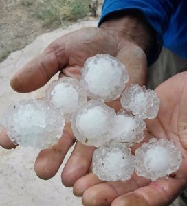 UPA pide "reforzar y reformar" el sistema de seguros agrarios ante una "meteorología hostil" que daña cultivos