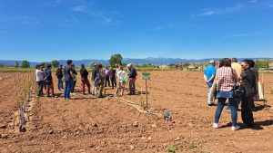 ARAG-ASAJA presenta los primeros resultados del campo demostrativo de almendro y avellano